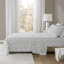 Ensemble de draps 100% coton Cozy-119034128-116491115