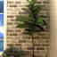 Photos des clients 2 de 3