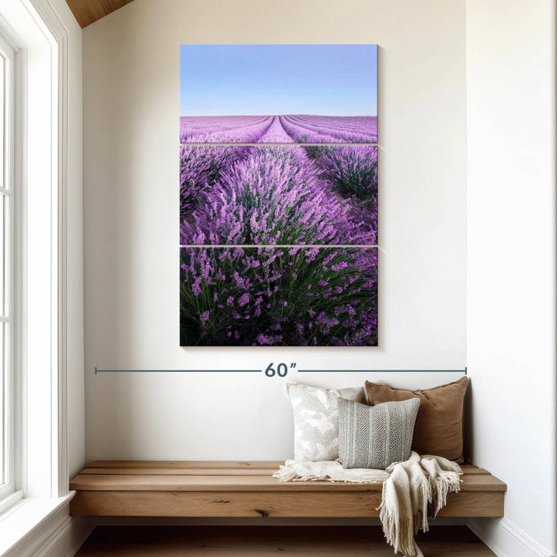 Lavande française Alvord Provence