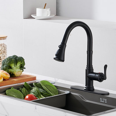 Robinet de cuisine rétractable à poignée simple avec plaque de pont