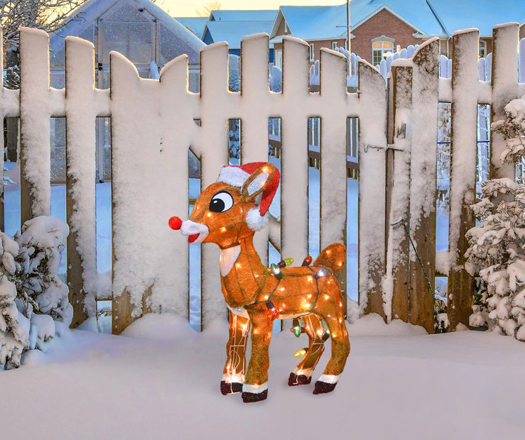 24-Inch 3D Pre-Lit Rudolph with C9 Light Strand - 80 Lights