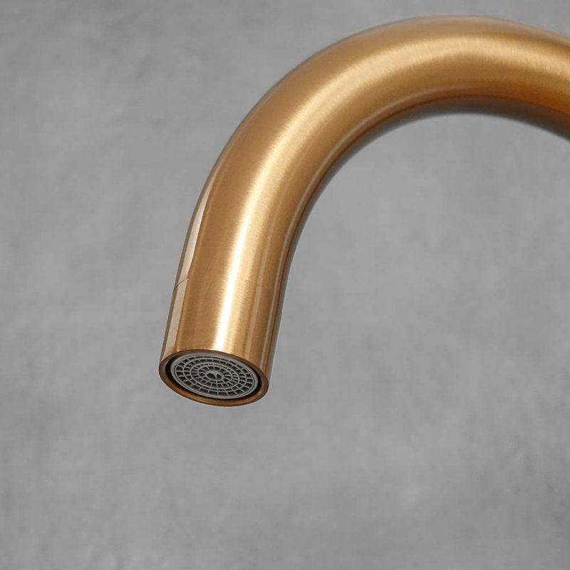 Belfry Kitchen Faucet Side Spray, Brass