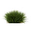 Gazon artificiel 8 po dans un panier-1972723837-1972723836-1941322101