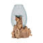 Vase en verre Arelli-766016436