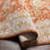 Finnlagh Oriental Indoor Rug