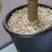 Faux Potted Aloe Tree-32810567