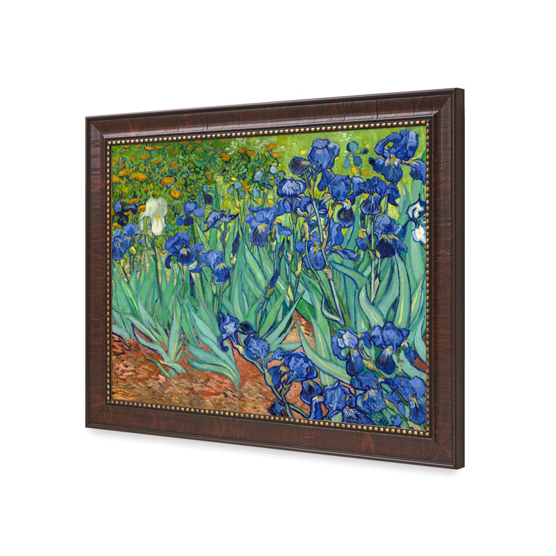 «Iries In The Garden» par Vincent Van Gogh - reproduction d'art sur toile, H 16 po x l 20 po, Toile avec cadre brun