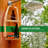 Corena Hanging Shower Caddy