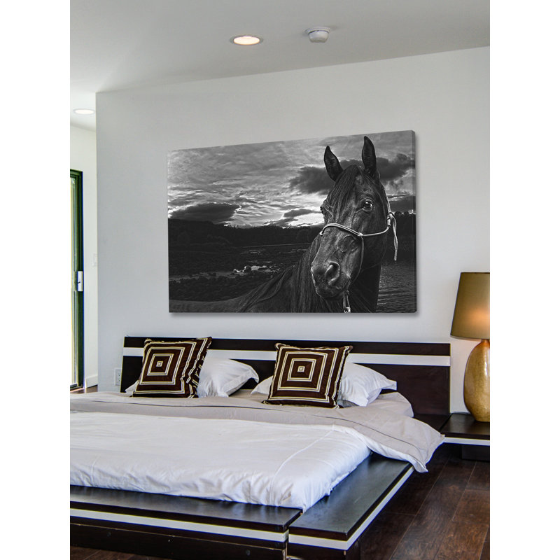 Nightwatch by Maggie Dee - Wrapped Canvas Print, 102cm H x 152cm W x 4cm D