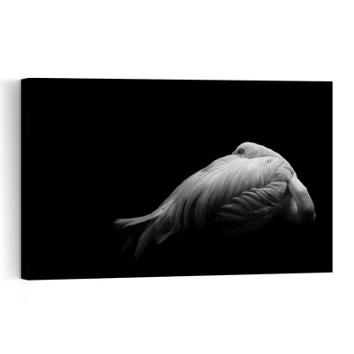 Sleeping White Flamingo Elegant Minimalist Peaceful Bird Flamingo Nature Wildlife Wall Art Print 1 Piece Wrapped Canvas Wall Art