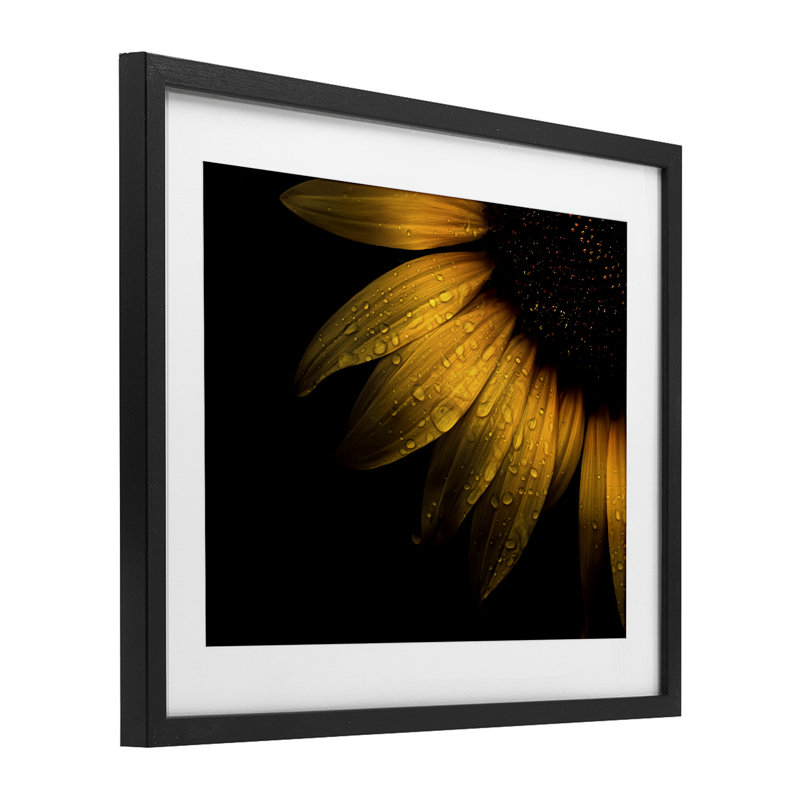 «Water Droplets on Sunflower», reproduction encadrée sous verre, conception de Brian Carson, Cadre noir minuit