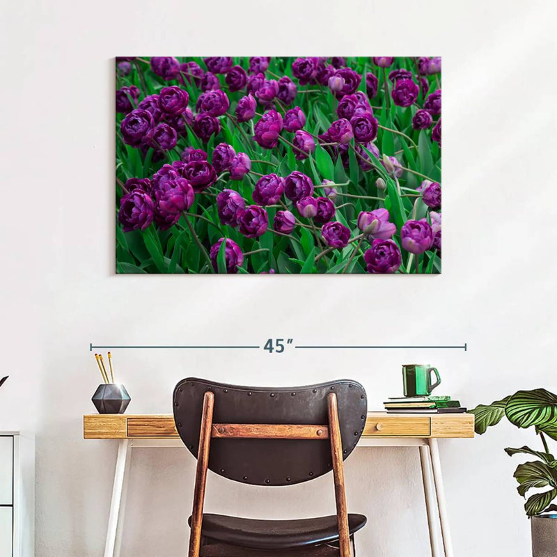 Alvord Violet Tulips