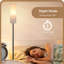 165cm Polished LED Traditional Floor Lamp