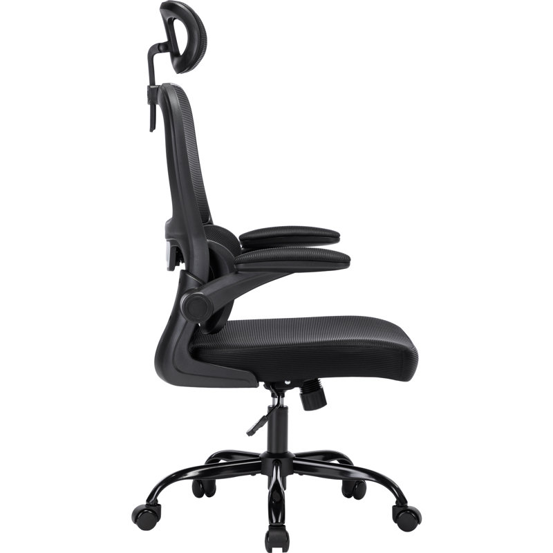 High Back Ergonomic Mesh Office Chair, Black/Black