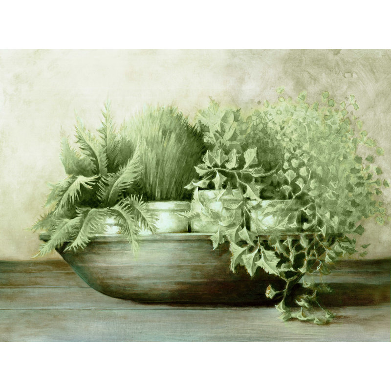 Intestin de verdure sauge, H 18 po x l 24 po