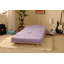 Arlete Upholstered Futon And Mattress-254661705-254661702