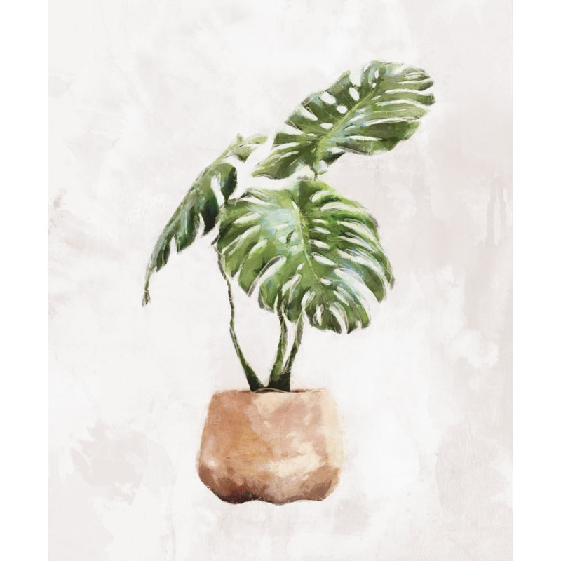 «Monstera Plant In Clay Pot - Print», H 36 po x l 24 po