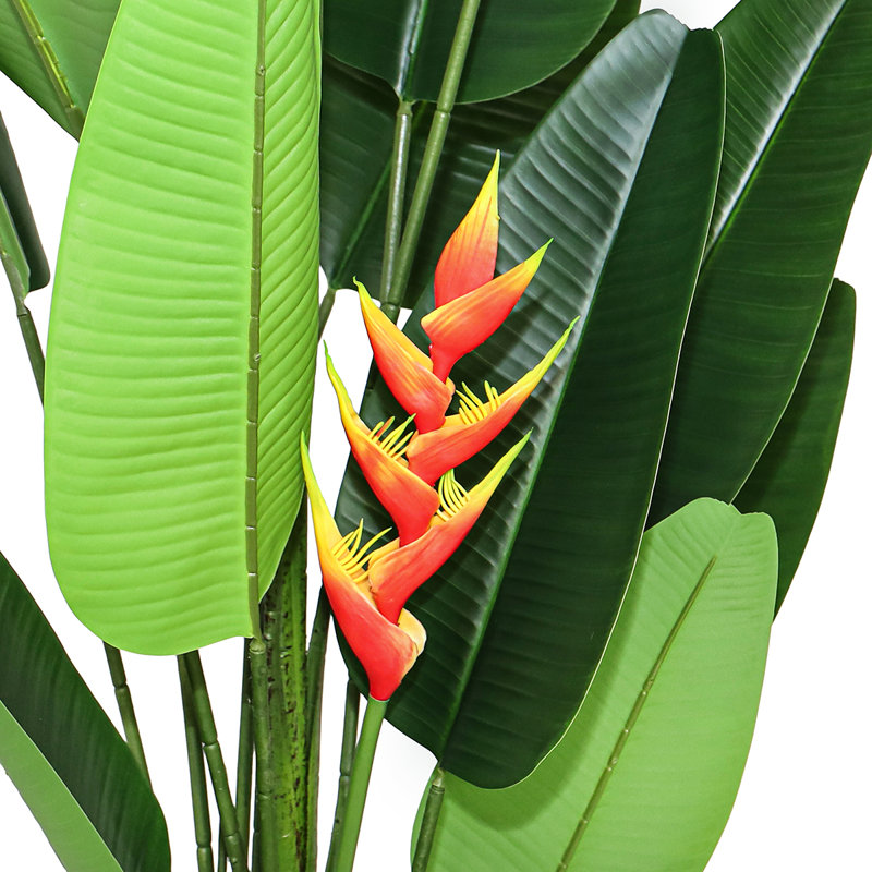 Plante tropicale en pot noir 7 pi