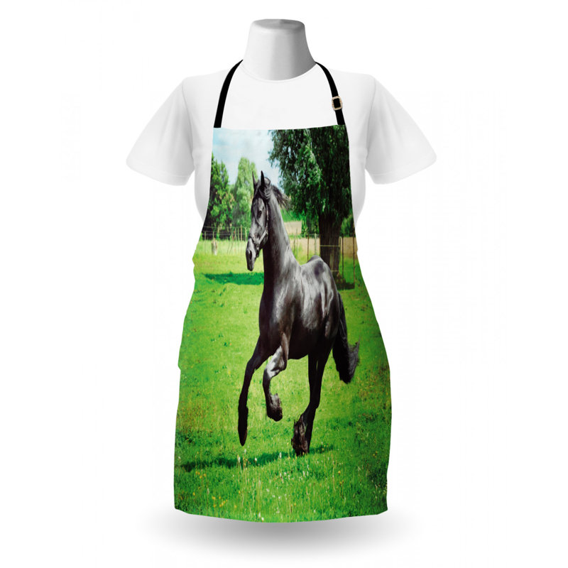Bib Apron