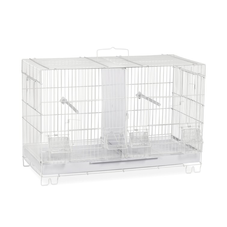Cotto 30'' Dome Top Hanging Bird Cage with Perch