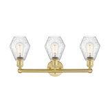 3 - Light Dimmable Vanity Light
