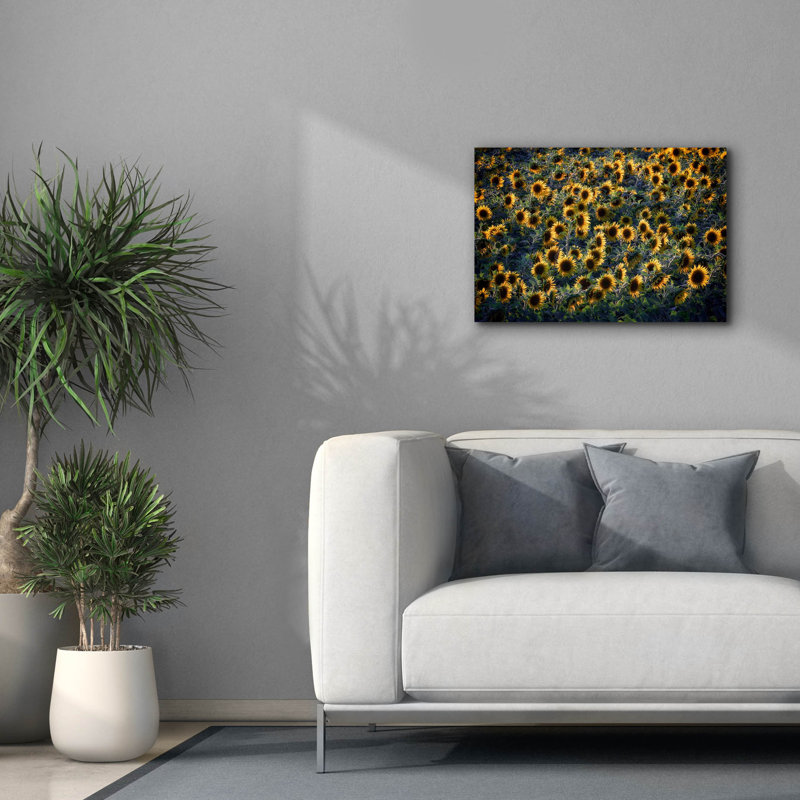 «Aroostook Sunflowers» par Rick Berk, art mural sur toile