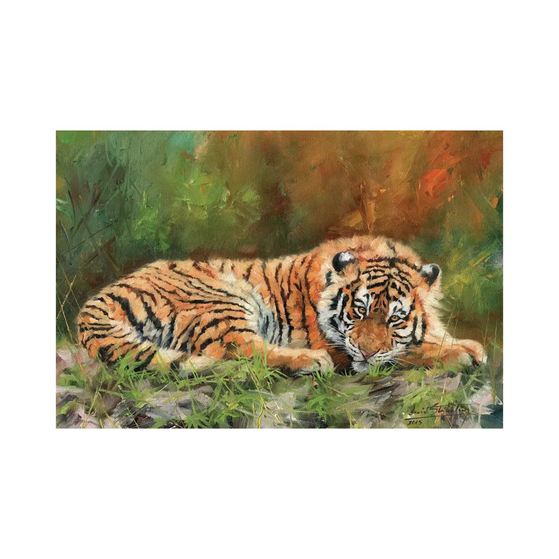 Amur Tiger Repose by David Stribbling - Gallery-Wrapped Canvas Giclée on Canvas, 20.32 cm H x 30.48 cm W, Canvas