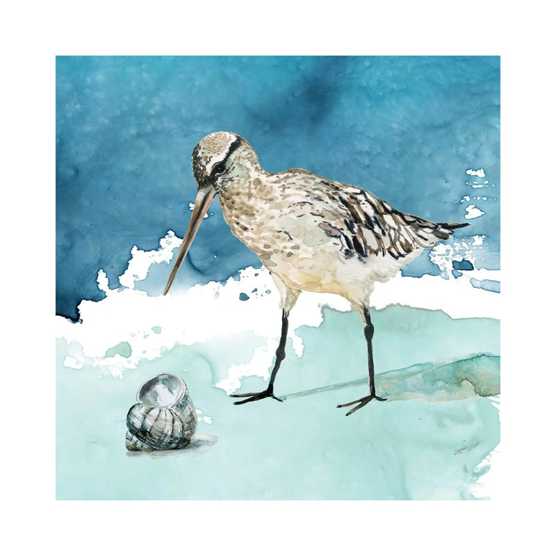 Delray Sandpiper II by Carol Robinson - Wrapped Canvas Painting, 66.04 cm H x 66.04 cm W x 1.91 cm D