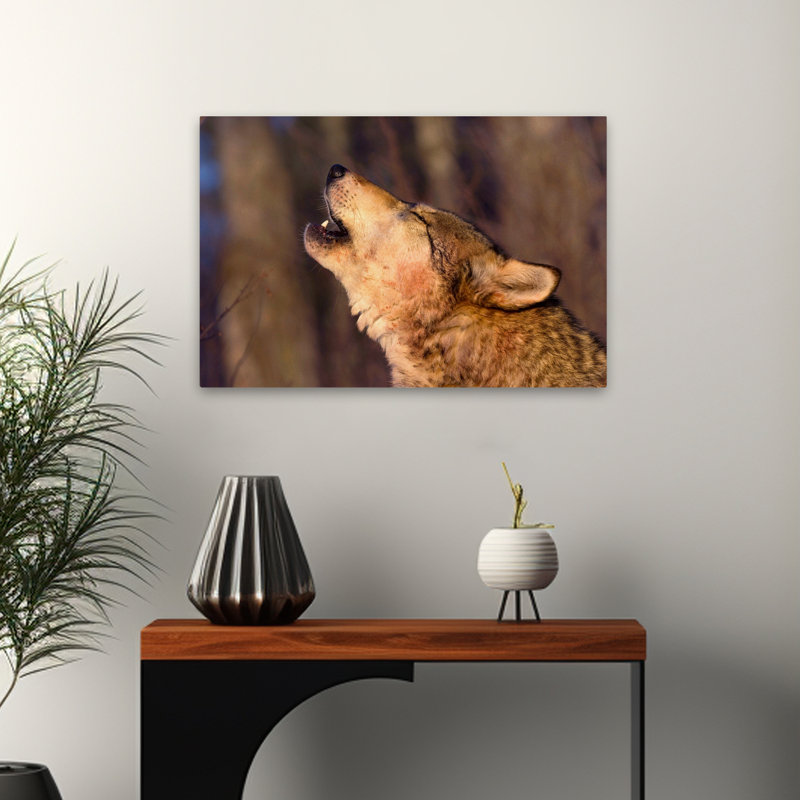 Lonesome Howl - photographie animaux, loups, art, H 24 po x l 16 po
