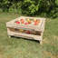 Harji Wood Food Storage Container