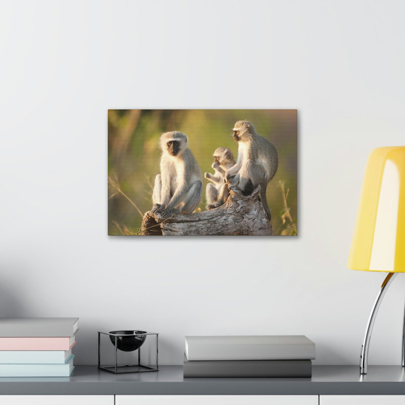 No Frame Print on Canvas, 12cm H x 16cm W