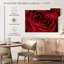 Rosée rouge veloutée-947423780-947423776