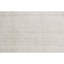Area Rug in Beige