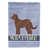 Goldendoodle brun sélectionné