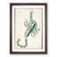 Astronomical Zodiac Chart of the Scorpio 1 Piece Single Picture Frame Painting-57844095-57844096