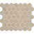 Elegant Beige
