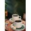 Ensemble de 12 tasses à thé élégantes, blanc et vert, 6 tasses (6,9 oz) et 6 soucoupes (5,5 po) | 100% céramique, antibactérien, résistant aux chocs thermiques | Va au lave-vaisselle et au micro-ondes, facile à nettoyer, parfait pour les amateurs 