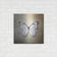 «French Butterfly II» par Debra Van Swearingen-2068000182