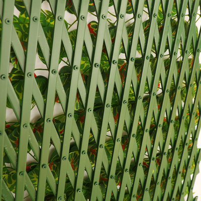 Simulation télescopique de feuille de rose