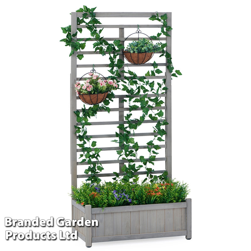Bryam Wood Raised Garden Bed