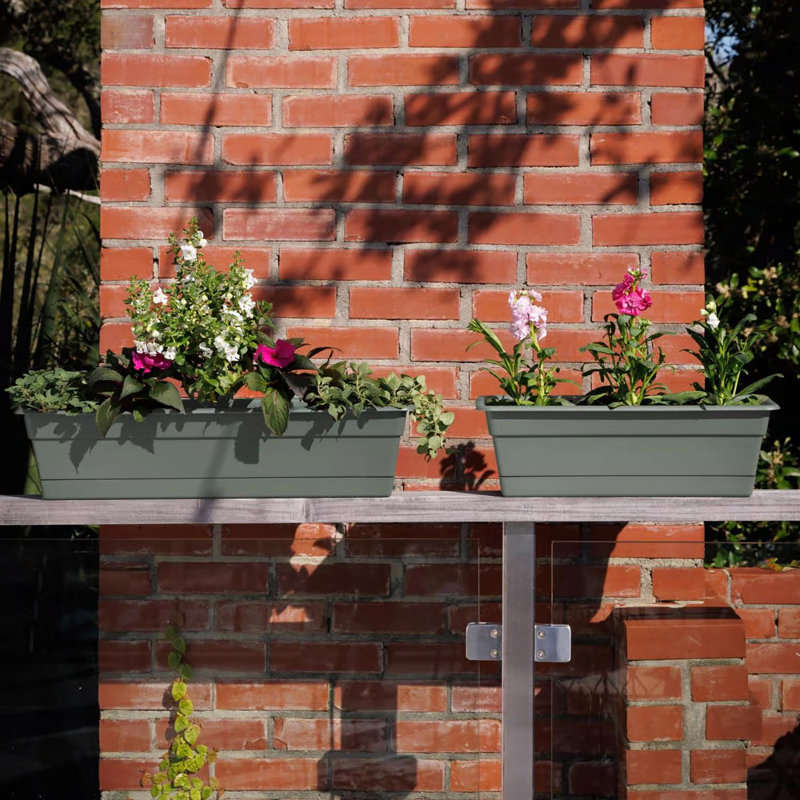  Dura Cotta 5.75 in. H X 18 in. W X 7.5 in. D Plastic Window Box Basil, Olive Green, 5.75" H x 18" W x 7.5" D