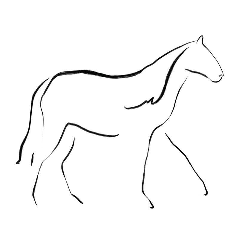 Line Drawing Horse - Wrapped Canvas Print, 30cm H x 30cm W x 3.8cm D