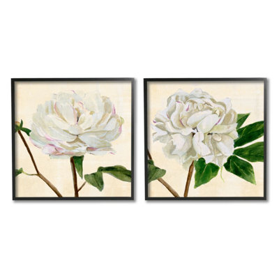 Ensemble de pivoines blanches avec pétales roses et fleurs charmantes par Annie Warren-ensemble de 2 reproductions d’art graphique
