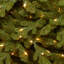 7.5 Ft. Neshanic Valley Spruce Tree With Dual Color® Led Lights