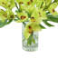 Orchids And Leaves In A Glass Vase