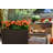 Chris Plastic Pot Planter-1102551947-1171358427