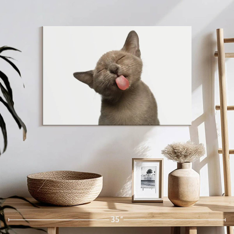 La langue de chat Brampt, H 16 po x l 24 po