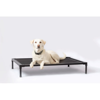 Cooling Elevated Dog Bed