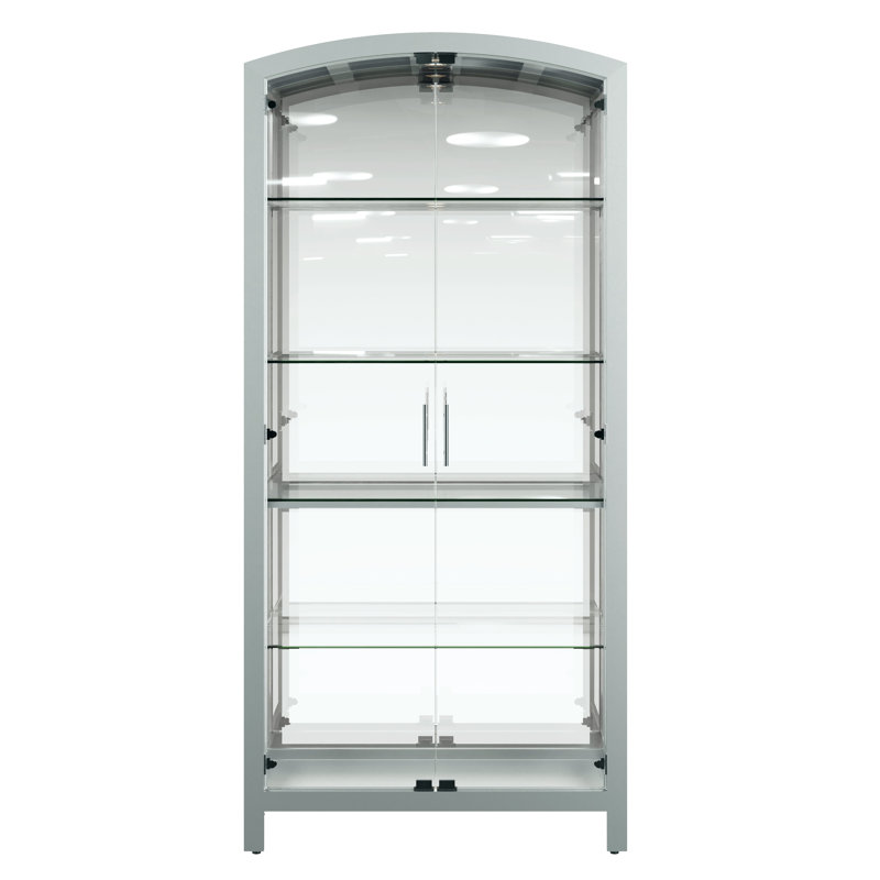 Elsie Silver Glass and Wood Curio Cabinet with LED Light