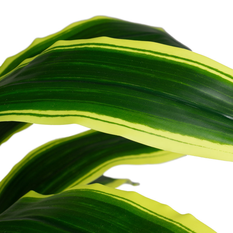 120cm Plant
